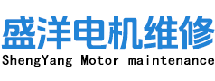 合肥盛洋电机维修有限公司